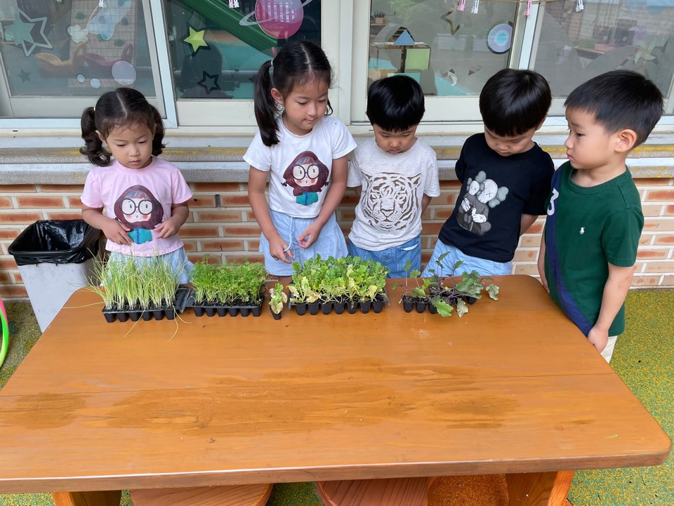 생태주간 <무우, 대파, 당근 심기>