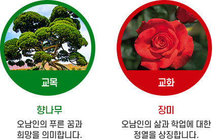 교목, 교화 이미지