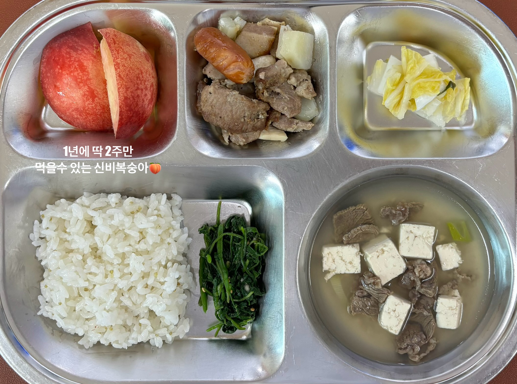 오늘의 식단