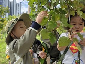 숲 해설가와 함께하는 가을 숲체험활동
