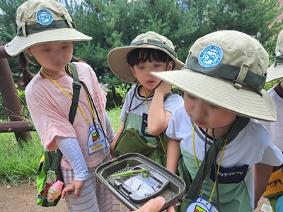 자율과제 연계 숲해설가와 함께하는 9월 숲놀이