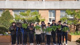 텃밭수확^^ 수확의 기쁨