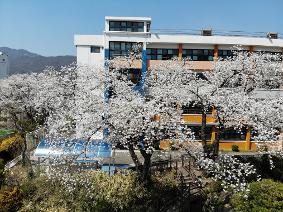 2025 심석고 본관 전경