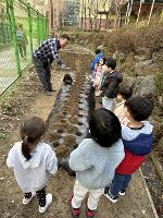 2024년 3월 27일 유치원 감자심기